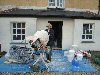 Lyn Watts mixing lime plaster