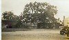Shebbear Oak before 1939